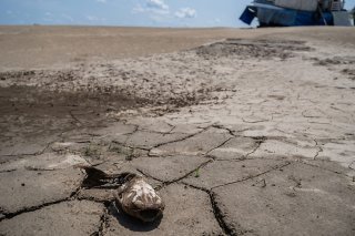 L'Amazonie, la plus grande forêt tropicale de la planète qui joue un rôle crucial dans la régulation du climat par l'absorption du dioxyde de carbone, est frappée par une sécheresse extrême depuis une année (archives). KEYSTONE/EPA EFE/RAPHAEL ALVES